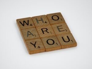 Who are you? Identity requirements ATO, Director ID,